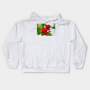 Holly Jolly 3 Kids Hoodie